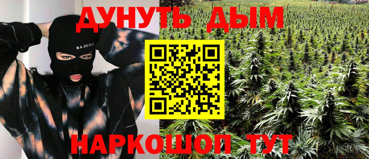 Канабис план Отрадное